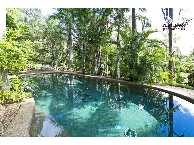 29 Padauk Ave, Nerang QLD 4211