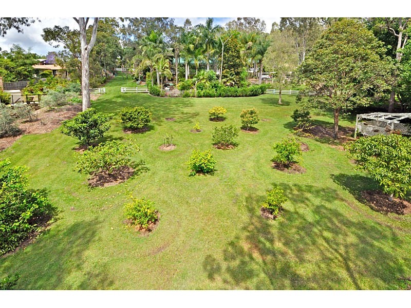 29 Padauk Ave, Nerang QLD 4211