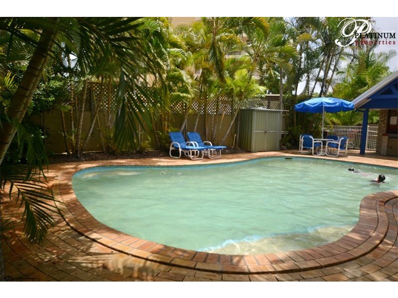 29/43 Cypress Avenue, Surfers Paradise QLD 4217