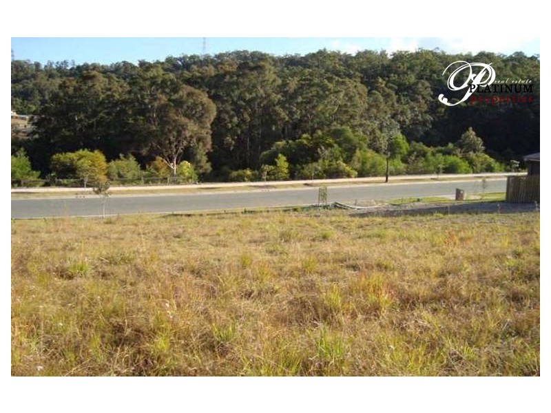 54 Diamantina Cct, Pacific Pines QLD 4211