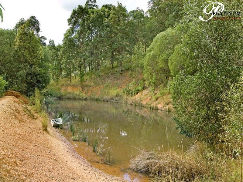 120 Lanes Road, Wongawallan QLD 4210