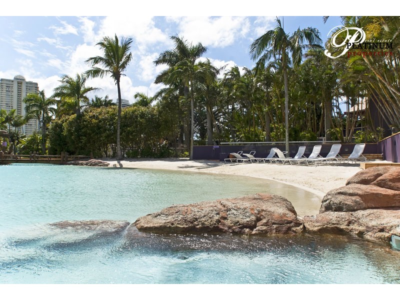 17/12 Commodore Drive, Surfers Paradise QLD 4217