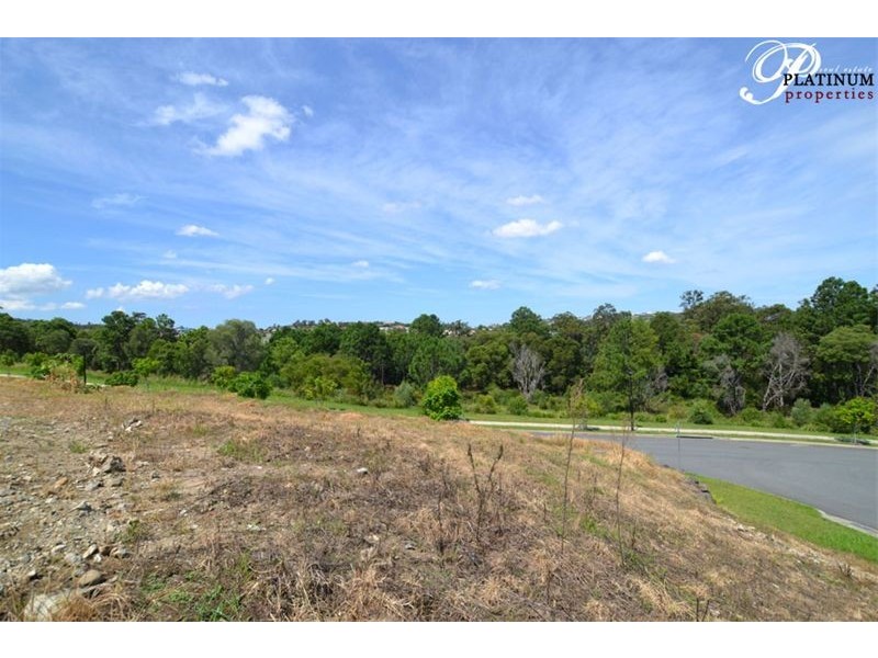 1 Carmen Court, Oxenford QLD 4210