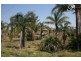 South Grafton NSW 2460