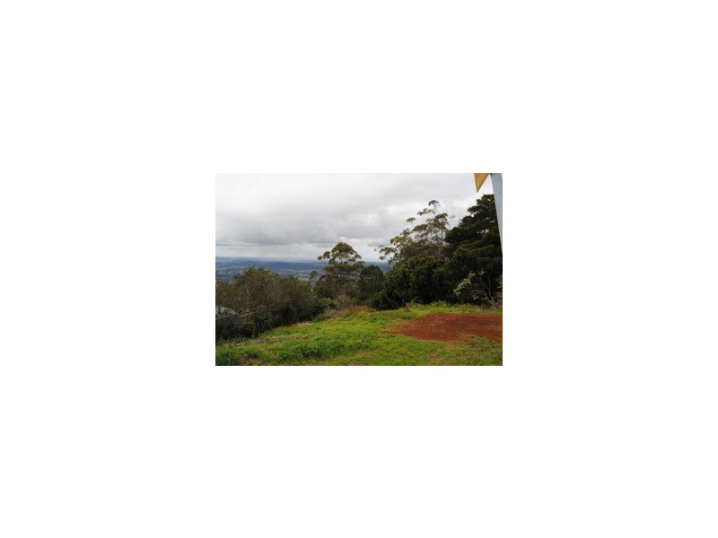 Lot 221, 4 Coomera Gorge Drive, Tamborine Mountain QLD 4272