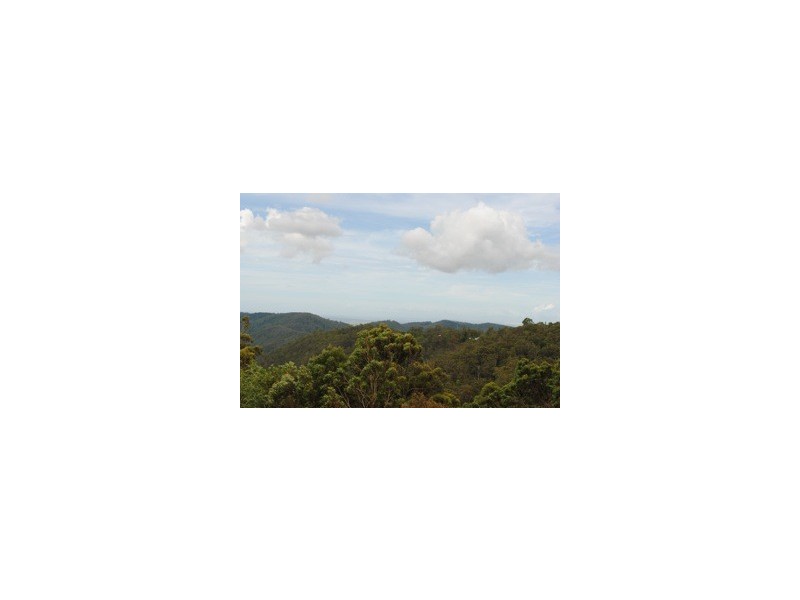 Lot 221, 4 Coomera Gorge Drive, Tamborine Mountain QLD 4272