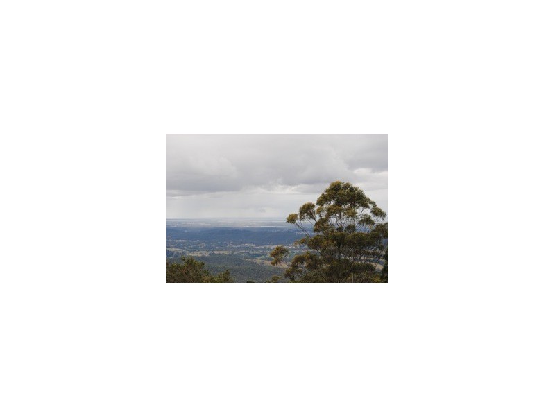 Lot 221, 4 Coomera Gorge Drive, Tamborine Mountain QLD 4272