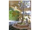 Mosman NSW 2088