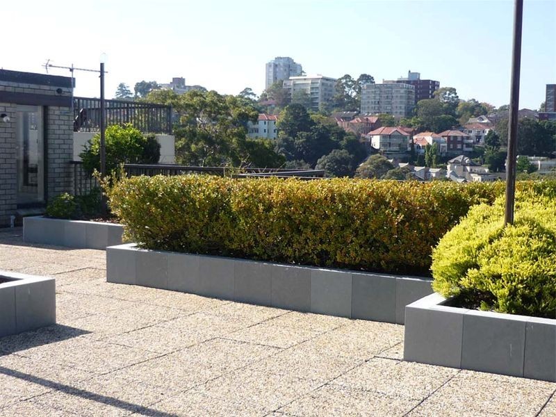 Neutral Bay NSW 2089