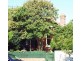 Mosman NSW 2088