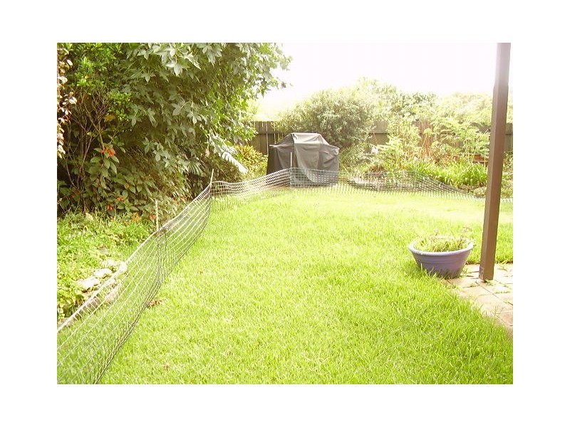 44 Iris Street -, Frenchs Forest NSW 2086