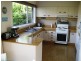 43 Dareen Street, Beacon Hill NSW 2100