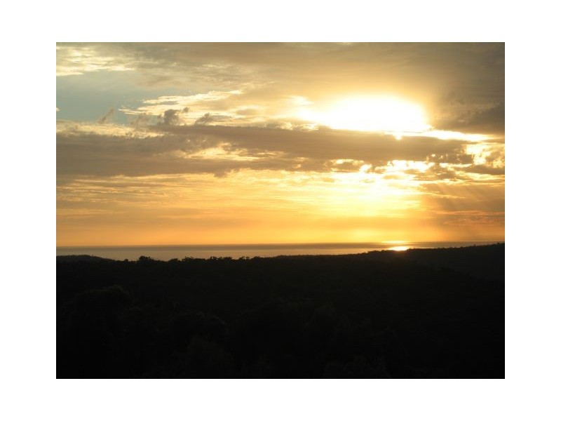 4 Lyndhurst Way, Belrose NSW 2085