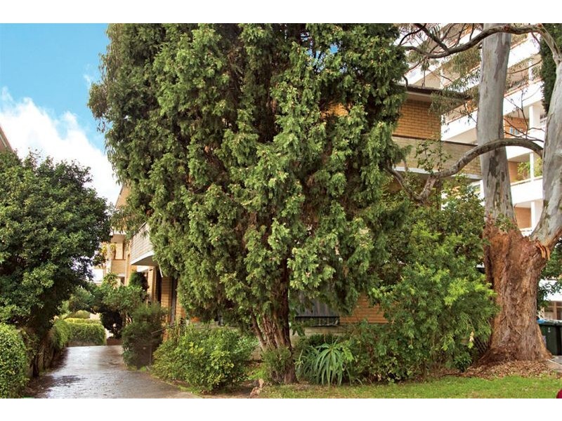 5/9 Westminster Avenue, Dee Why NSW 2099