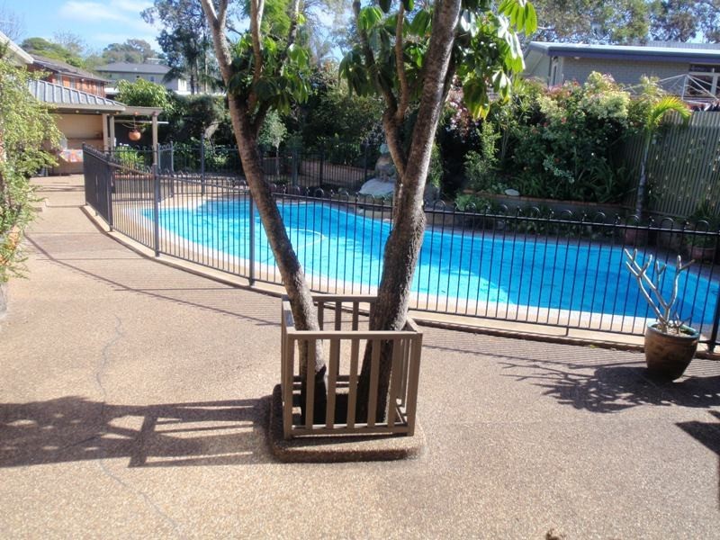 13 Burraloo Street, Frenchs Forest NSW 2086