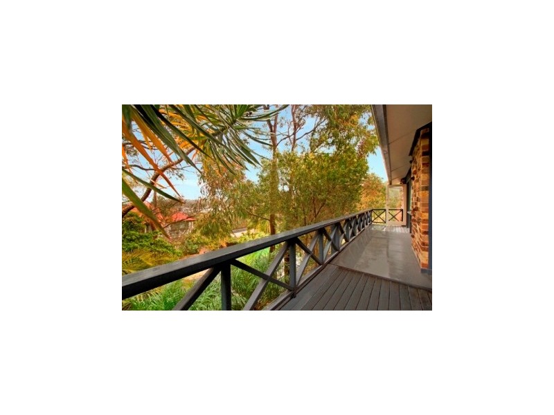 16 Ryan Place, Beacon Hill NSW 2100