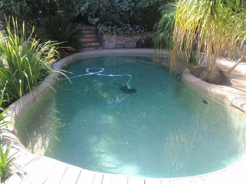 8 Ambrym Avenue, Frenchs Forest NSW 2086