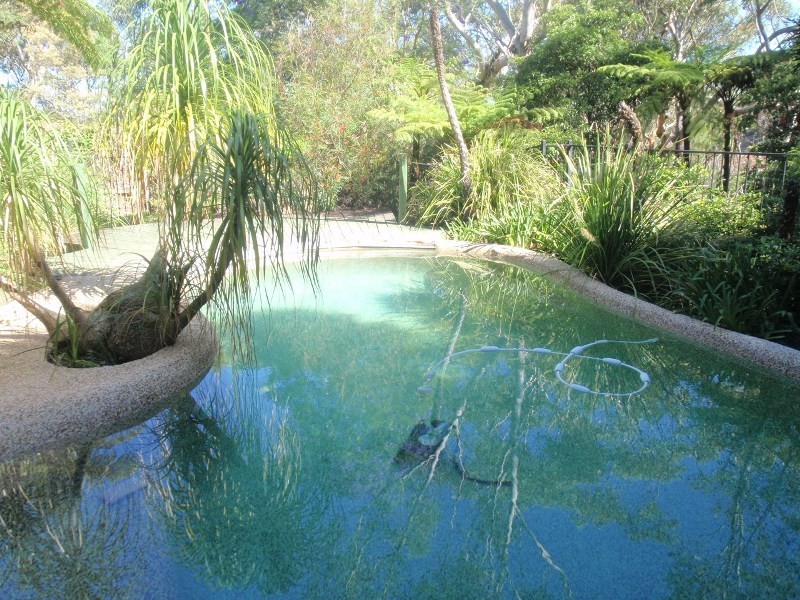 8 Ambrym Avenue, Frenchs Forest NSW 2086