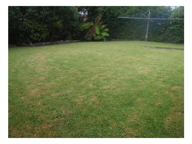 8 Holland Crescent, Frenchs Forest NSW 2086