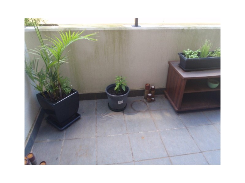 C104/2-4 Darley Street, Forestville NSW 2087