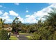 4 Charlotte Place, Beacon Hill NSW 2100