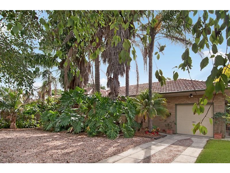 Forestville NSW 2087