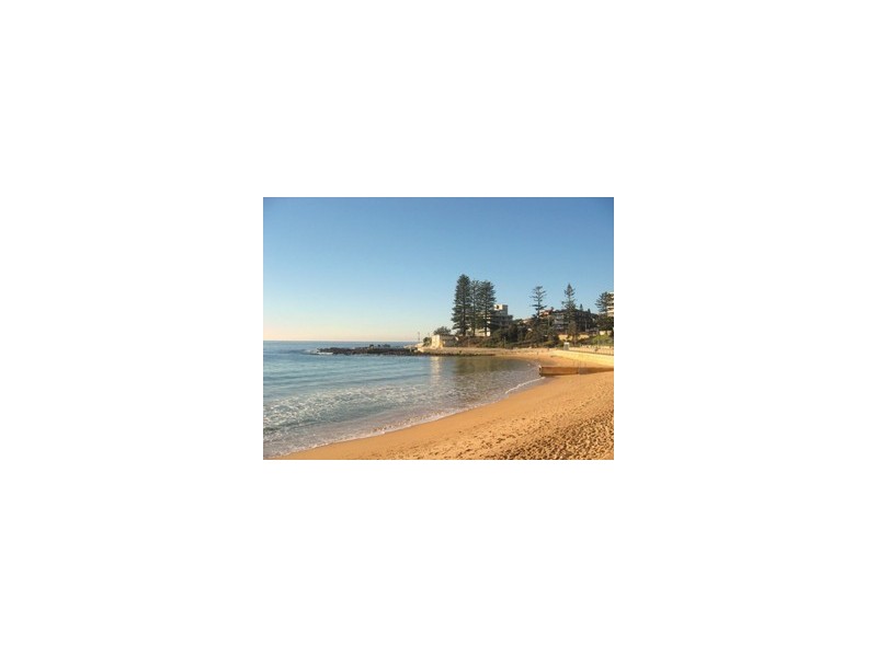 10/180 Pacific Parade, Dee Why NSW 2099