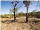 Lot 8 Irma Place, Frenchs Forest NSW 2086