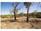 Lot 7, (No. 6) Irma Street, Frenchs Forest NSW 2086