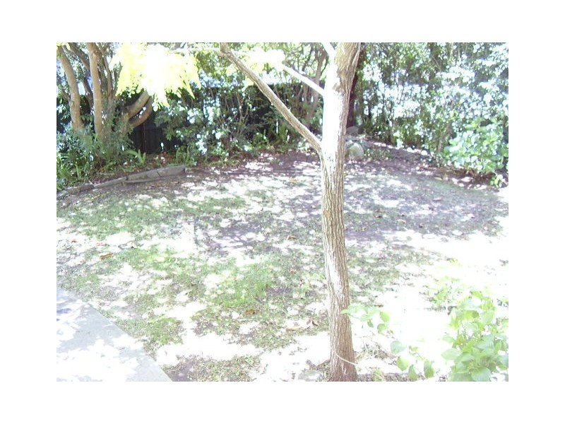 94 Forest Way, Frenchs Forest NSW 2086