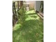 7 Pinta Place, Cromer NSW 2099