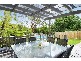 12 Nandi Avenue, Frenchs Forest NSW 2086