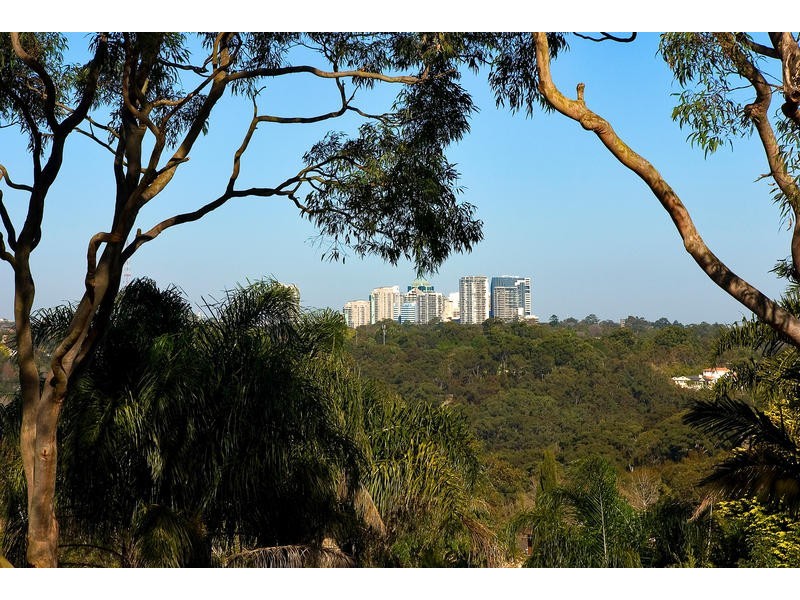 Forestville NSW 2087