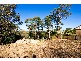 Forestville NSW 2087