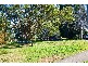 Forestville NSW 2087