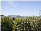 4 Valley View Road, Frenchs Forest NSW 2086