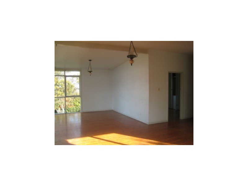 31  Princess Mary Street, Beacon Hill NSW 2100