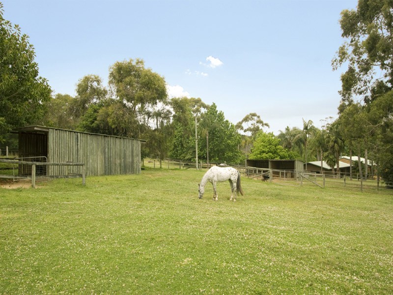 5  Kellys Way, Oxford Falls NSW 2100