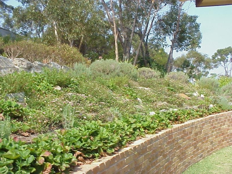 4 Charlotte Place, Beacon Hill NSW 2100