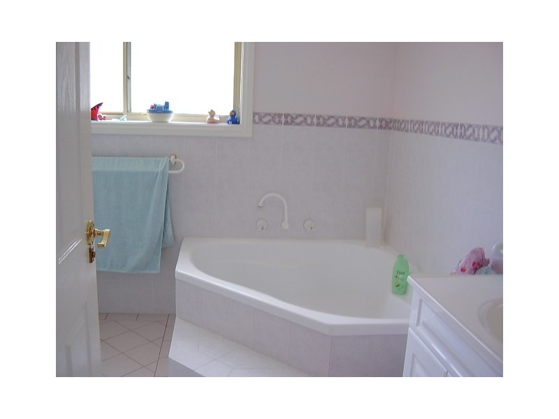 4 Charlotte Place, Beacon Hill NSW 2100