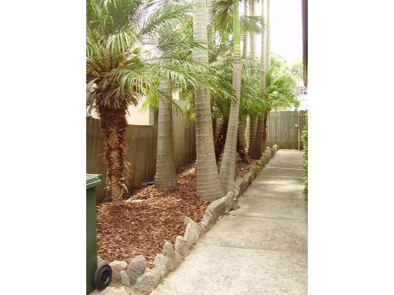 785 Warringah Road, Forestville NSW 2087