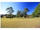 1440 Collombatti Road Collombatti via, Kempsey NSW 2440