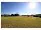 1440 Collombatti Road Collombatti via, Kempsey NSW 2440
