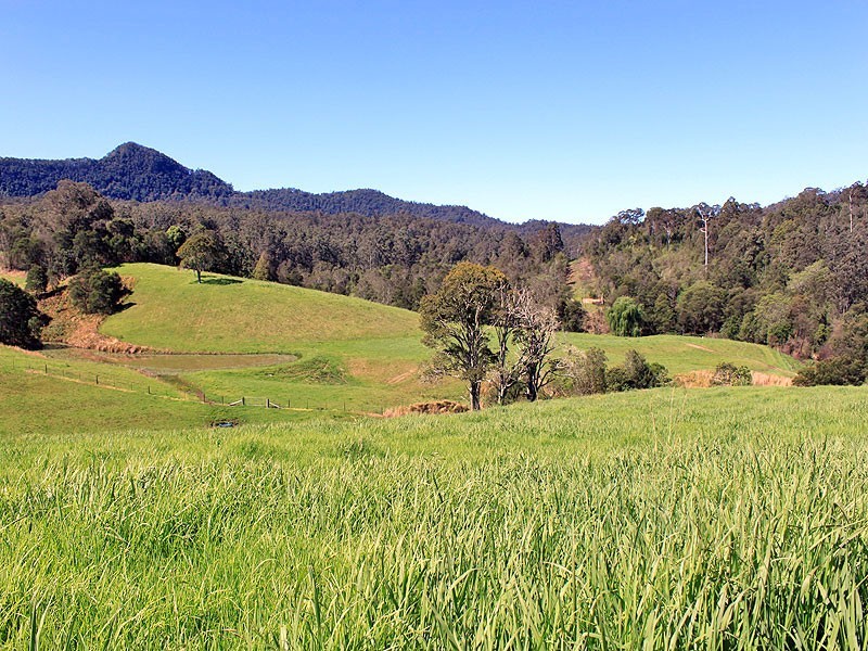 201 Sundowner Road MILLBANK via, Kempsey NSW 2440