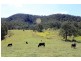 Lot 67 DP 752423 Warbro Brook Road TOOROOKA via, Kempsey NSW 2440