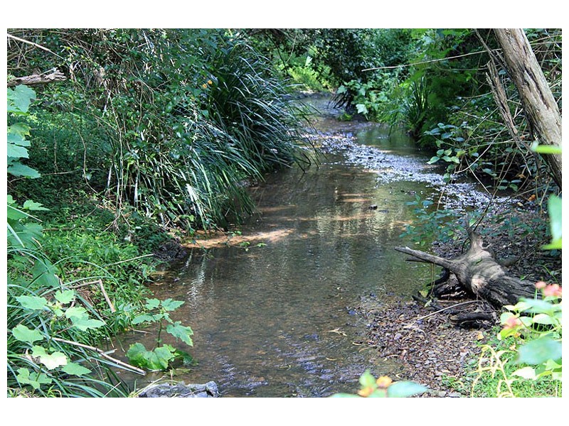 Lot 73 DP 752423 Warbro Brook Road, Toorooka NSW 2440