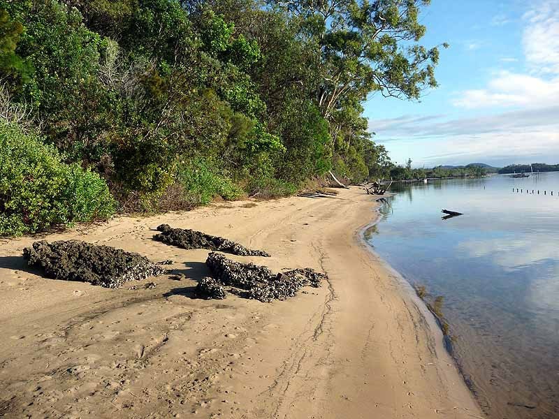 Blocks 1-4 Fishermans Reach Road, Fishermans Reach NSW 2441