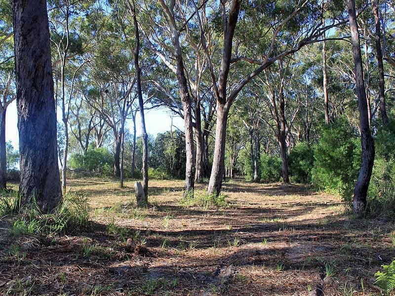 Blocks 1-4 Fishermans Reach Road, Fishermans Reach NSW 2441