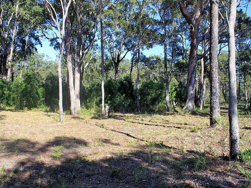 Blocks 1-4 Fishermans Reach Road, Fishermans Reach NSW 2441