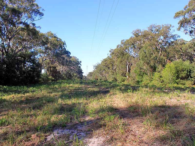 Blocks 1-4 Fishermans Reach Road, Fishermans Reach NSW 2441